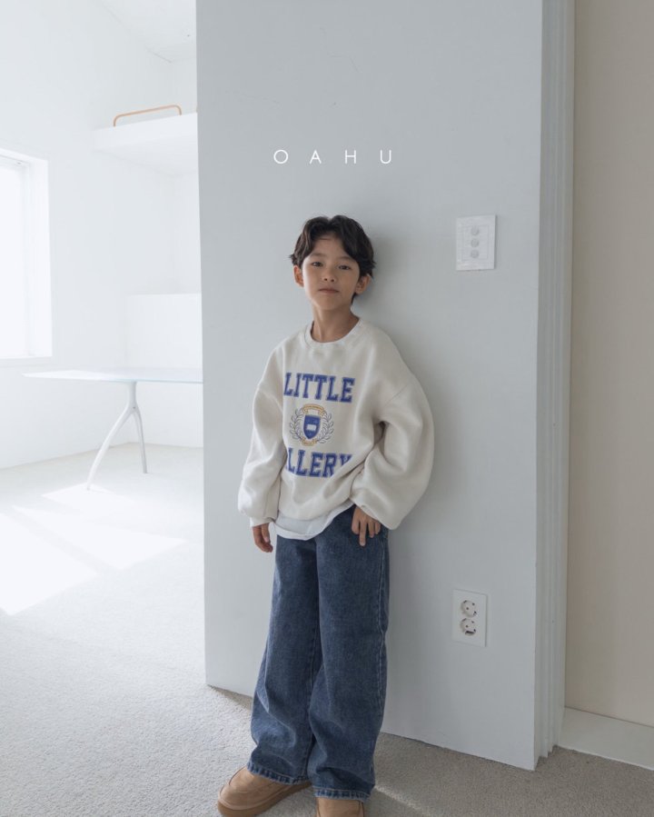 【予約】earth wide denim pants / oahu (S-JXL)