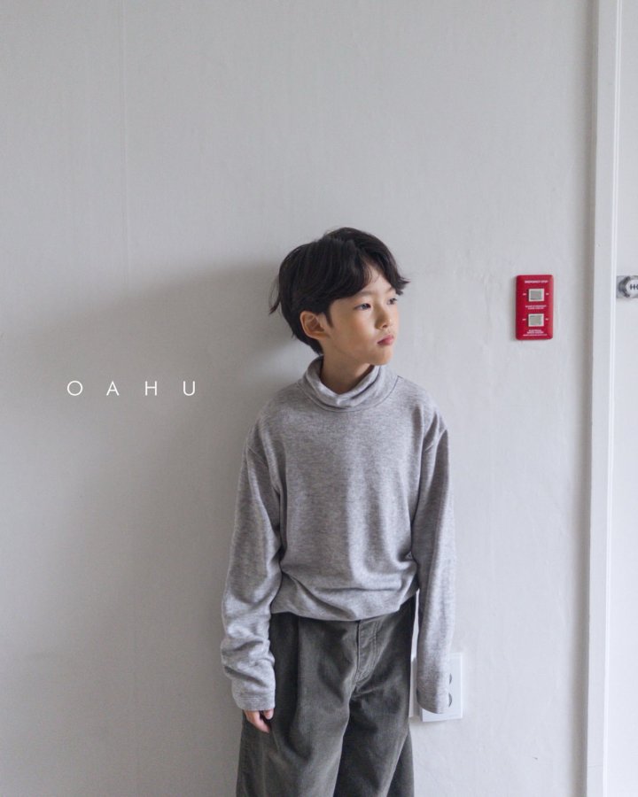 【予約】wool basic polo T  /  oahu (S-JXL)